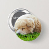 Hund, die Liebe Vermisst Button (Vorne & Hinten)