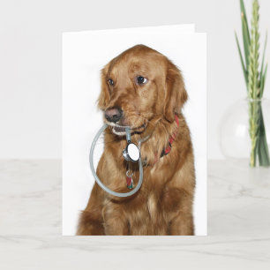 Hund Doktor Karte