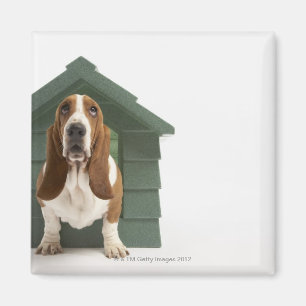 Hund durch Doghouse Magnet