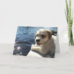 Hund durch eine Seegrußkarte Karte