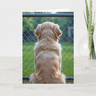 Hund durch einen Zaun schauen Karte
