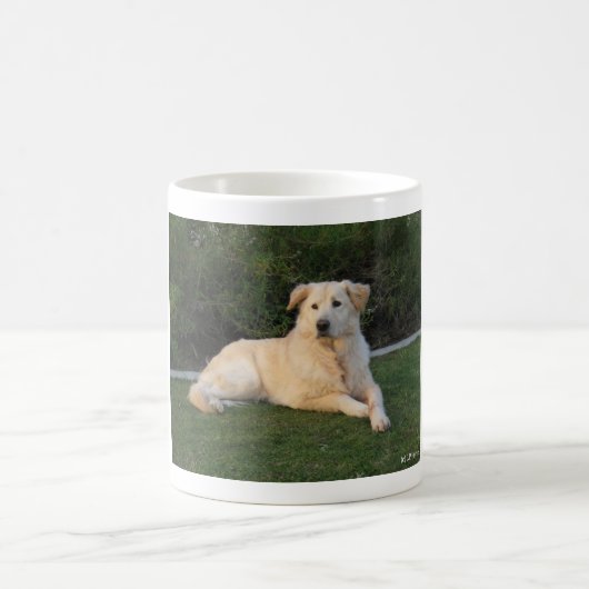 Hund entspannen kaffeetasse (Mittel)