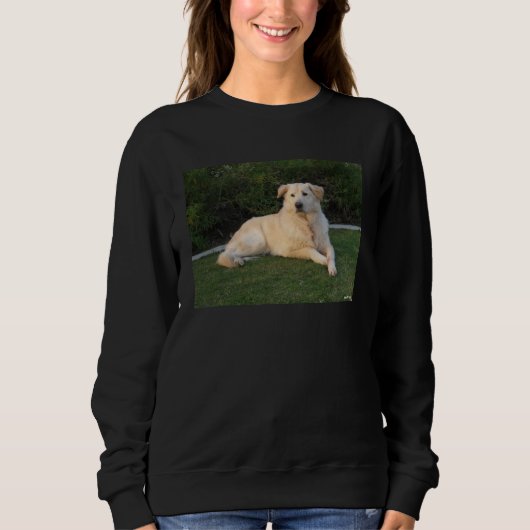 Hund entspannen sweatshirt (Vorderseite)