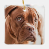 Hund Erste Weihnachtsfeier Keramik Ornament (Vorderseite)