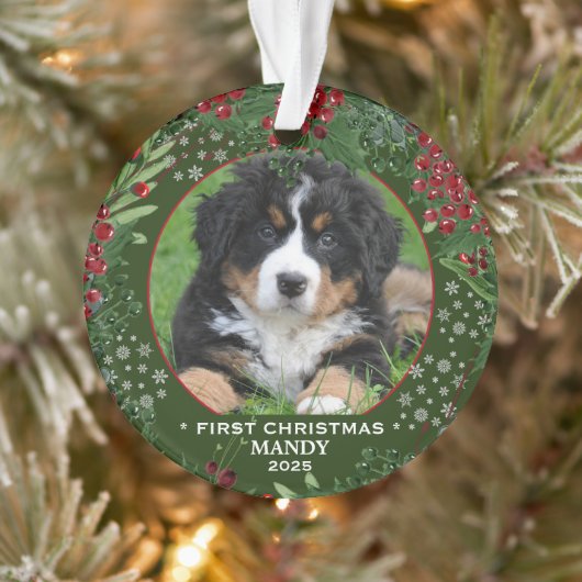 Hund Erste Weihnachtsschneeflocken Foto Ornament (Baum)