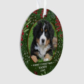Hund Erste Weihnachtsschneeflocken Foto Ornament (Vorderseite)