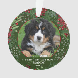 Hund Erste Weihnachtsschneeflocken Foto Ornament