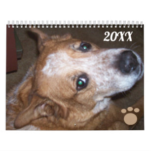 Hund Foto Calendar Ginger Queensland Heeler Kalender