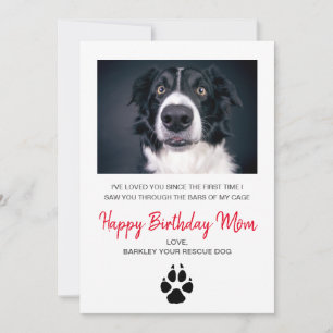 Hund Foto Happy Geburtstag Mama Card aus Rescue Hu Feiertagskarte