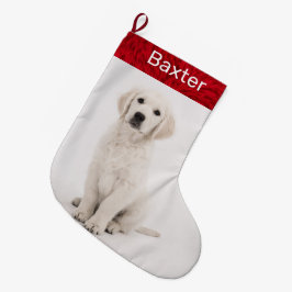 Hund Foto Holiday Golden Retriever Großer Weihnachtsstrumpf