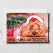 Hund Foto Paw Humbug Weihnachten Haustier (Vorderseite)