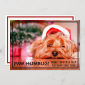 Hund Foto Paw Humbug Weihnachten Haustier (Vorne/Hinten)