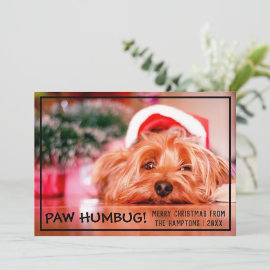 Hund Foto Paw Humbug Weihnachten Haustier (Stehend Vorderseite)