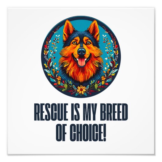 Hund Fotodruck (Vorne)