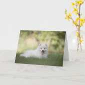 Hund für weißen Spitz Karte (Gelbe Blume)