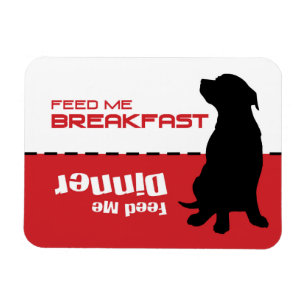 Hund Füttre mir Füttre Magnet Hund ist hungrig