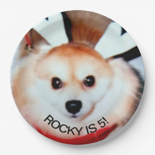 Hund Geburtstagspartei Custom Foto Pappteller