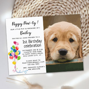 Hund Geburtstagsparty Foto Welpe Pawty Postkarte