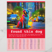 Hund gefunden flyer (Vorne)
