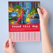 Hund gefunden flyer (Hand)