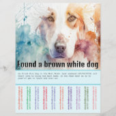 Hund gefunden flyer (Vorne)