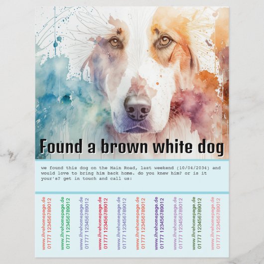 Hund gefunden flyer (Vorne)