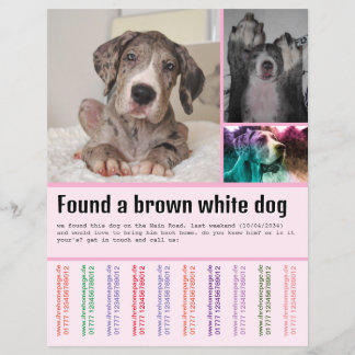 Hund gefunden flyer