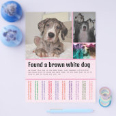 Hund gefunden flyer (Einzeln)