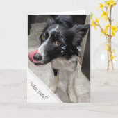 Hund gegessen Kuchen Geburtstag Karte (Gelbe Blume)