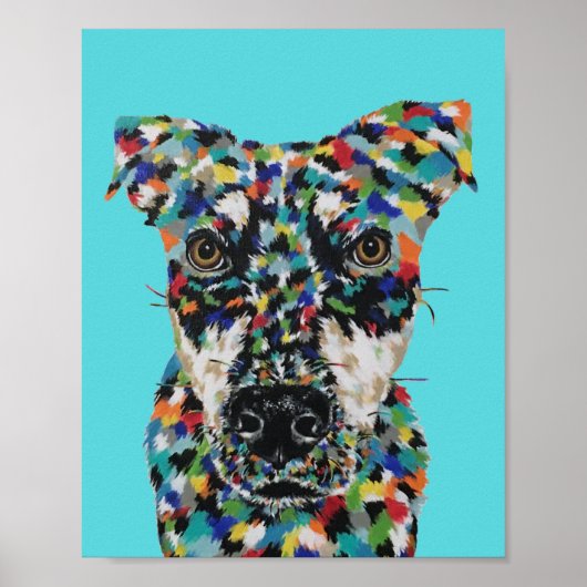 Hund gemischter Rasse Poster (Vorne)