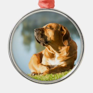 Hund genießt die Morgensonne Ornament Aus Metall