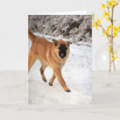 Hund Gepunktet auf einem frostigen Morgenspazierga Karte (Gelbe Blume)