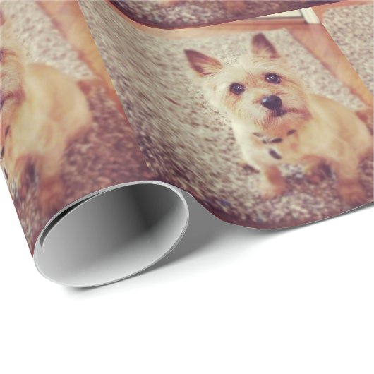 Hund Geschenkpapier (Rolleneckpunkt)