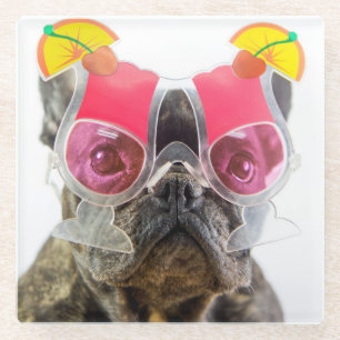 Hund Getty Bild-  mit Cocktail-Gläsern Glasuntersetzer