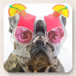 Hund Getty Bild-  mit Cocktail-Gläsern Untersetzer