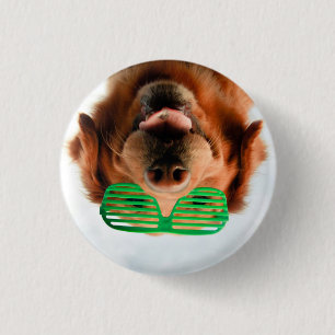 Hund Getty Bild-  mit Gläsern Button
