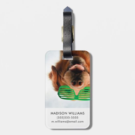 Hund Getty Bild-| mit Gläsern Gepäckanhänger (Rückseite vertikal)