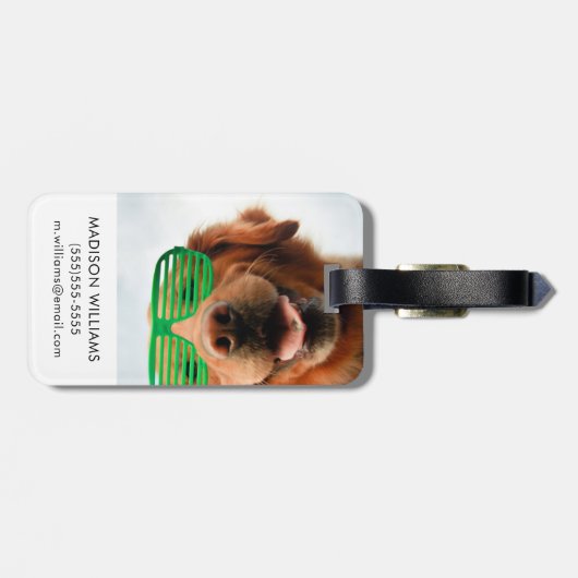 Hund Getty Bild-| mit Gläsern Gepäckanhänger (Rückseite horizontal)
