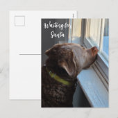 Hund Gewartet für Santa Feiertagspostkarte (Vorne/Hinten)