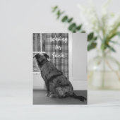 Hund Gewartet für Weihnachten (Stehend Vorderseite)