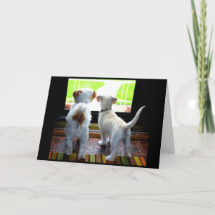 Hund-Gone, ich vermisse dich! Karte