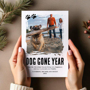 Hund Gone Year Niedlich Foto Weihnachten