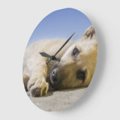 Hund Große Wanduhr (Winkel)