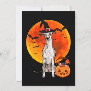 Hund Halloween Whippet Kürbislaterne Pumpkin Feiertagskarte
