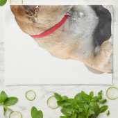 Hund Handtuch (Gefaltet)