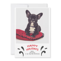 Hund Happy Holidays Foto Gruß