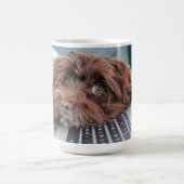 Hund, Haustier, Behältnis Kaffeetasse (Mittel)