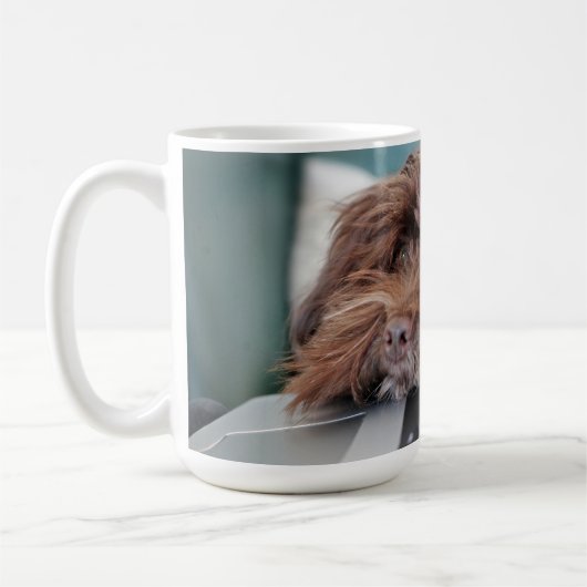 Hund, Haustier, Behältnis Kaffeetasse (Links)