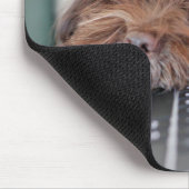 Hund, Haustier, Behältnis Mousepad (Ecke)