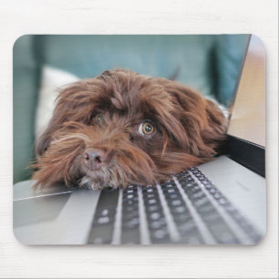 Hund, Haustier, Behältnis Mousepad